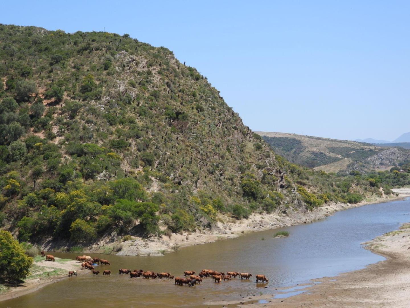 Gourits River Guest Farm Albertinia Exterior photo